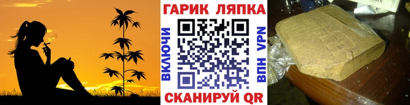 ГАШ Premium  Купить где  Менделеевск 
