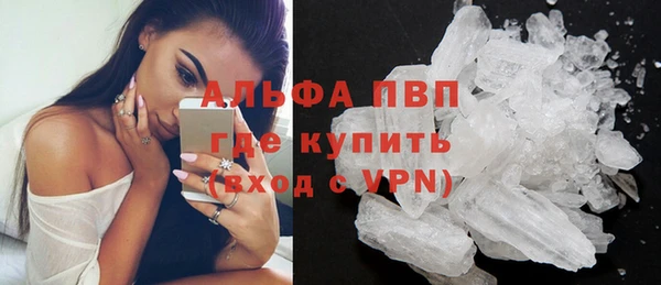 спиды Белокуриха