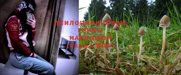 спиды Белокуриха