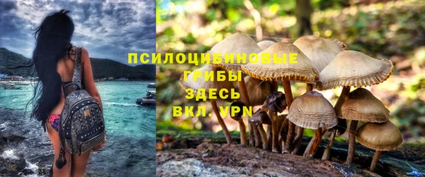 гидропоника Белоозёрский