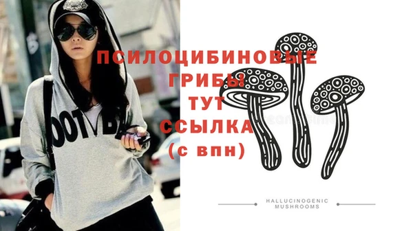 спиды Белокуриха