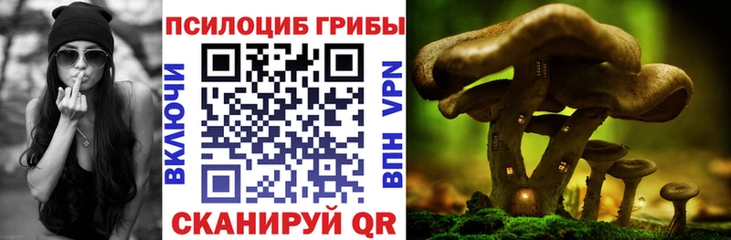 Купить где  Менделеевск  Псилоцибиновые грибы Magic Shrooms 